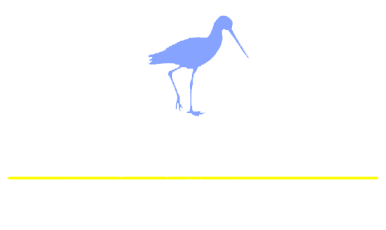 American Gallery Home Logo White